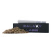 Gary Payton PreRoll